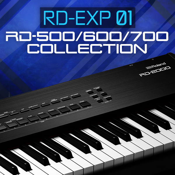 RD-EXP01 | RD-2000 | Axial